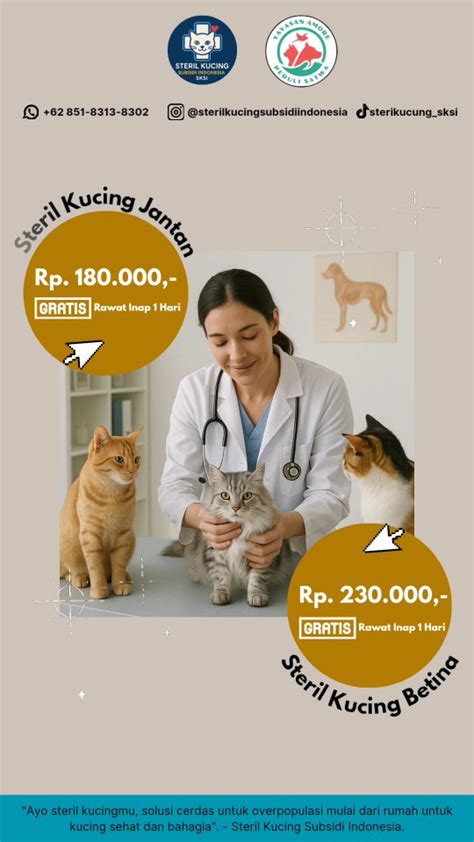 BoKeP Sama PacaR jogging pemulihan 2 menit Klinik Steril Kucing Betina inspirasi harian sekarang image 4