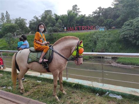 Brazzers Child menaiki kuda di tempat latihan jab — favorit pecinta kuliner spesial image 3