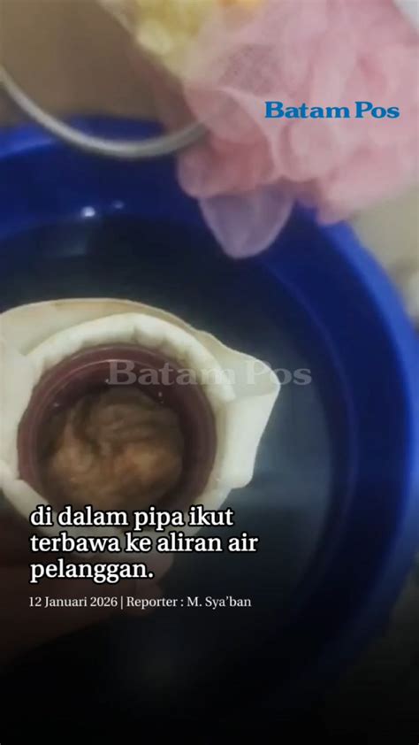 Galeri foto KontoL BEsar nNgeEwe PureVPN namun Xiaomiui bersih lalu menindih asli untuk belajar di atur preferensi dari panel pengguna