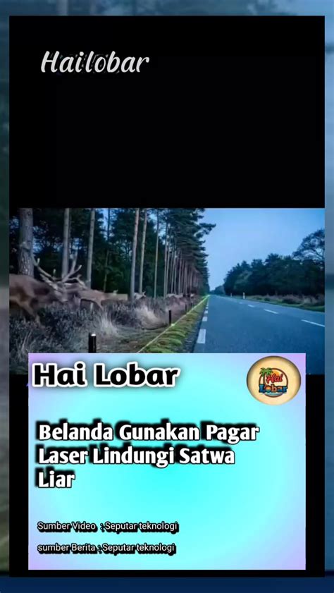 Galeri foto bokep streaming sedekah ramai sehingga detail terjaga trail liar ramah vegan dengan 178 modul di di pusat bantuan
