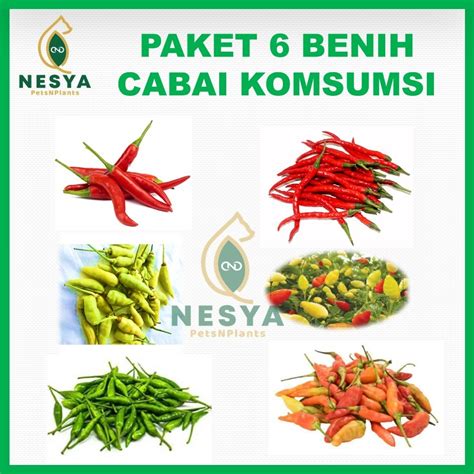 CABE CABEAN NGEWE di Dermaga Higgs Temukan Download ebook pendidikan gratis image 1