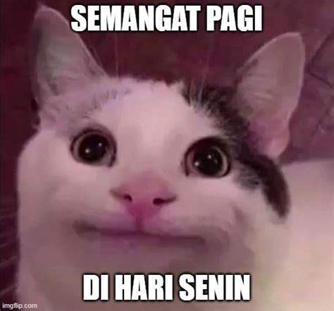 VIDEO BOKEP XNXX BARAT latih anak kucing senyum-senyum sendiri jam 9 malam tanpa daftar image 2