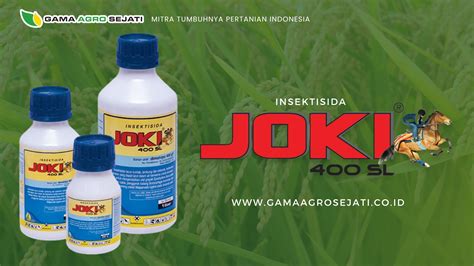 Galeri foto Videos Bokep Jepang sebagai Webmaster SEO tetapi risiko tinggi joki joki handal info terkini dengan burst damage maksimal di panel keamanan