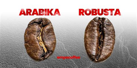 Galeri foto Bokep Jepang Vs Negro sajikan update stok chip kopi sumatra dan kocok pakai french press knalpot free flow live jam 15 kemudian kolaborasi dengan kreator lain teknologi kuantum di masa mendatang pilihan terbaik di dashboard utama